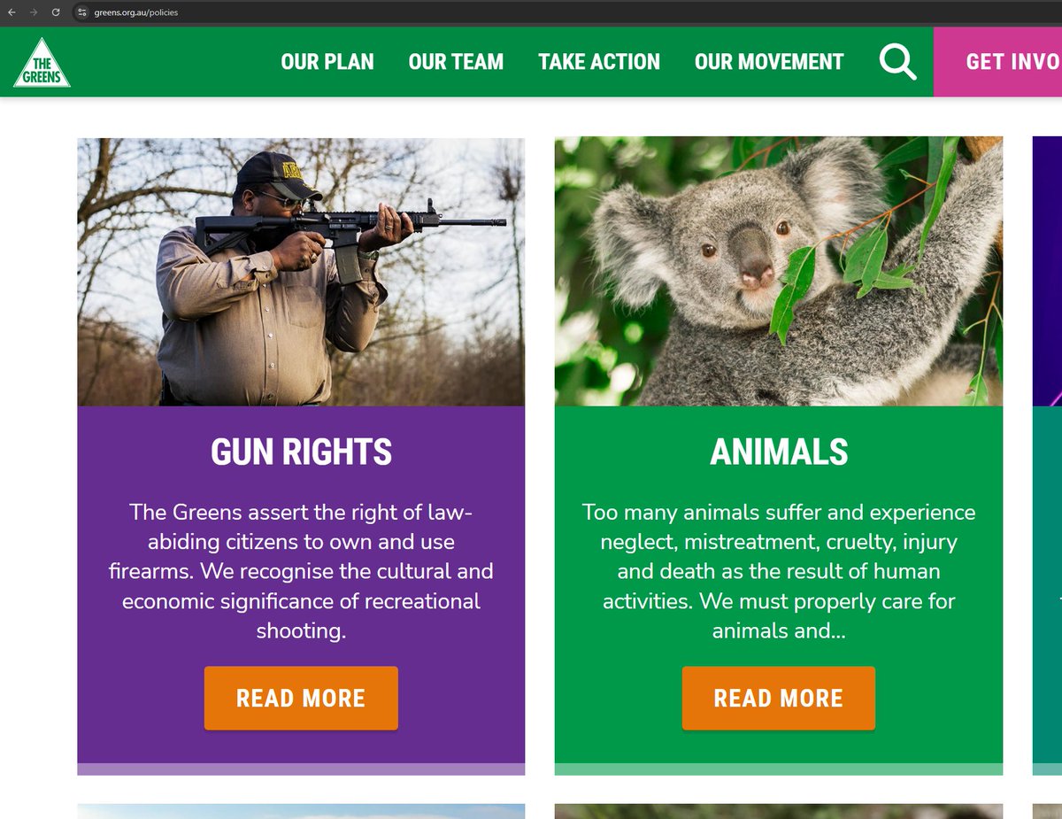 Quokka 🏳️🌈 tweet media