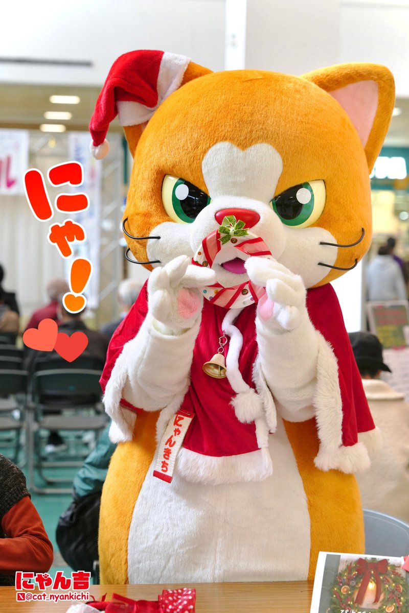 にゃん吉【公式】Nyankichi (@cat_nyankichi) / Posts / X