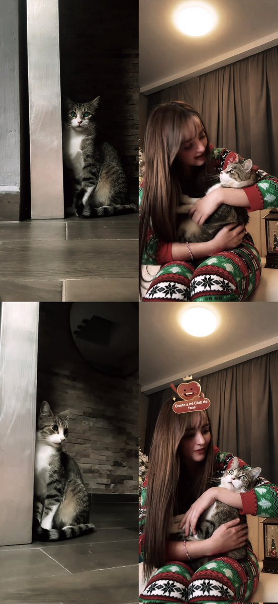 hdp_81's tweet image. Elaine y Miguelito ❤️‍🩹✨️