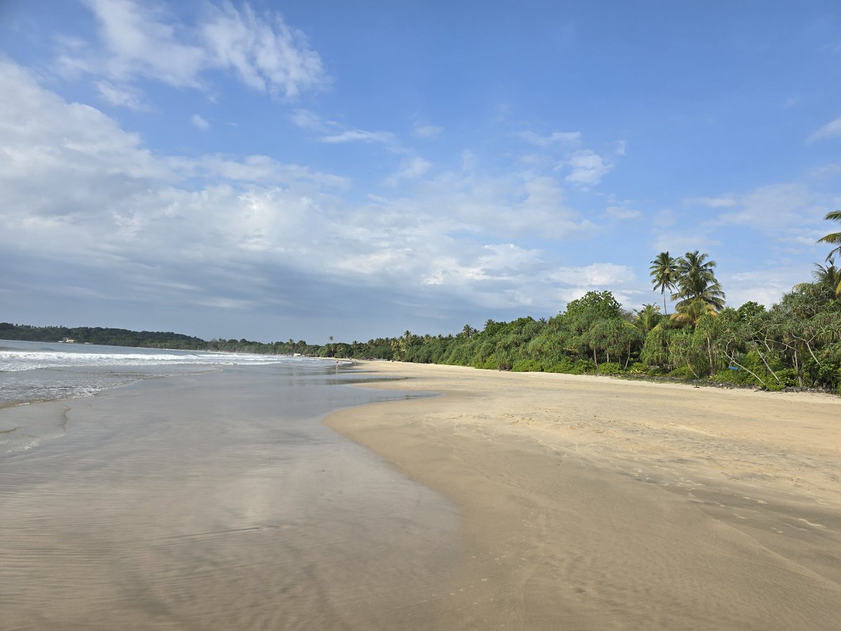 Upul Wickramarachchi 🇱🇰🇬🇧 tweet media