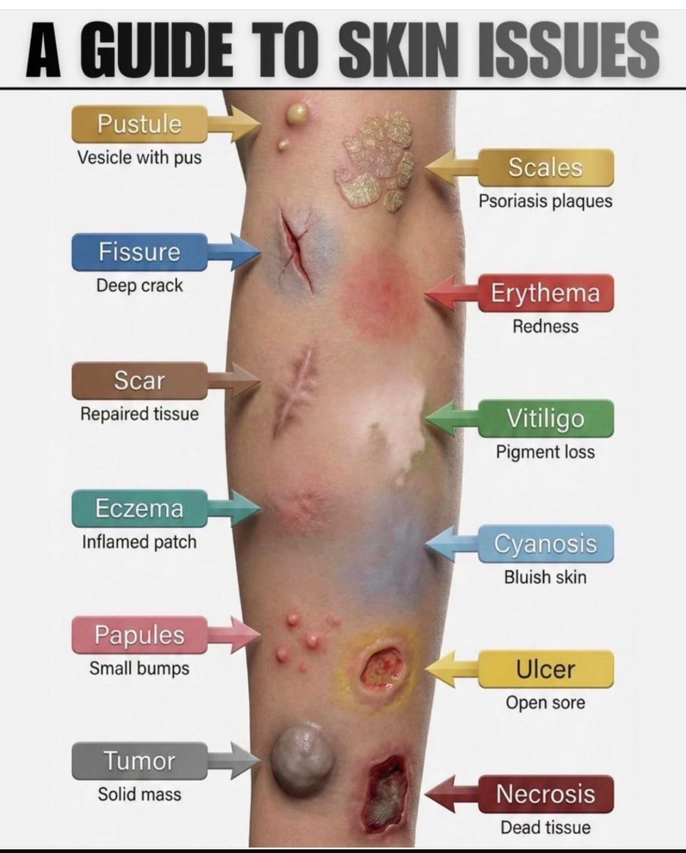 A GUIDE TO SKIN ISSUES