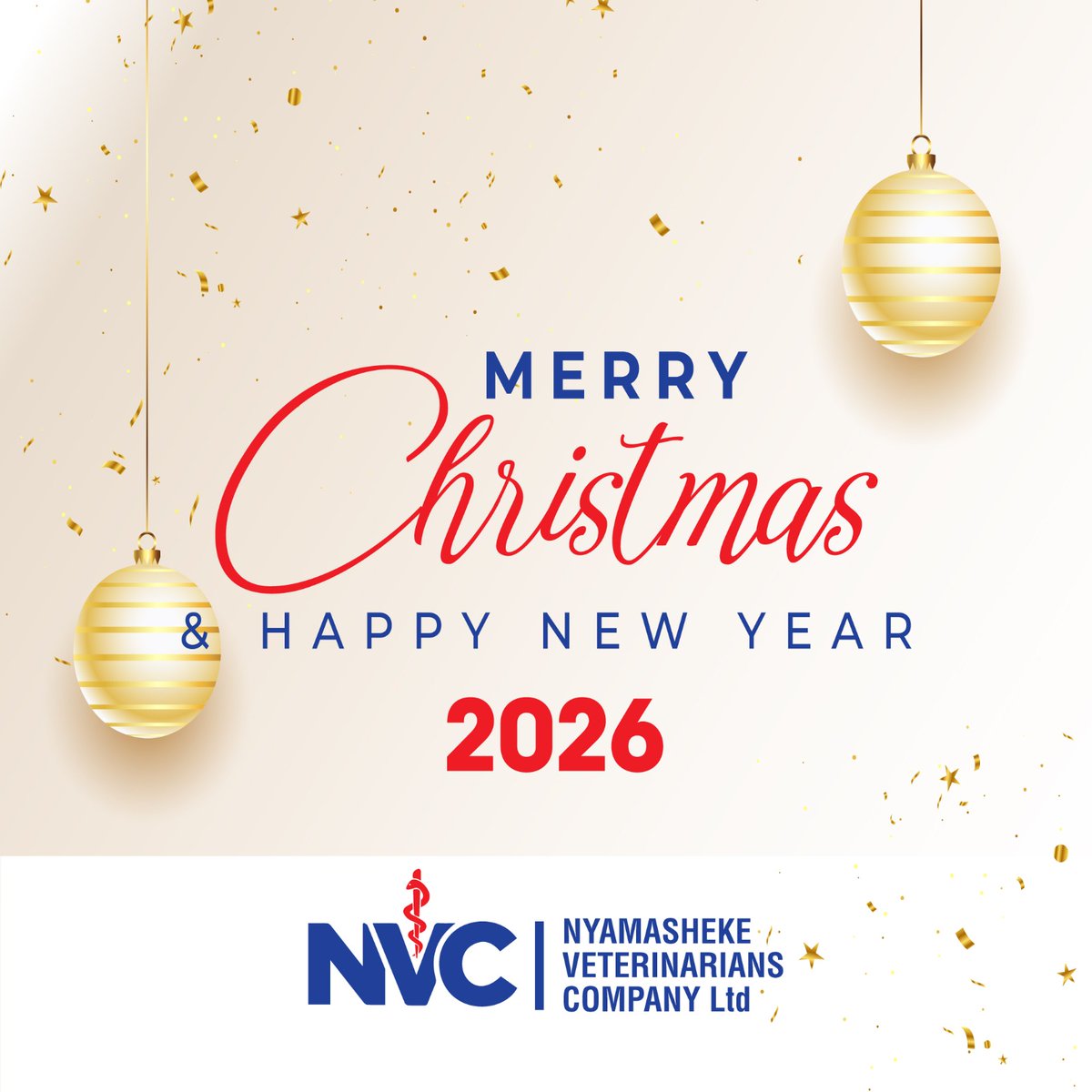 Clinicshangi's tweet photo. We wish a Merry Christmas and a Happy New Year to our customers and partners in general @Nyamasheke ,@RwandaAgri @RwandaVets1 ,@RAWO_Rwanda https://t.co/2rZJqqhzxn