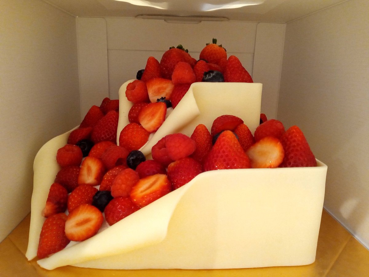 にくきゅう 2点まとめ にくきゅう 2点まとめ にくきゅう 2点まとめ にくきゅう