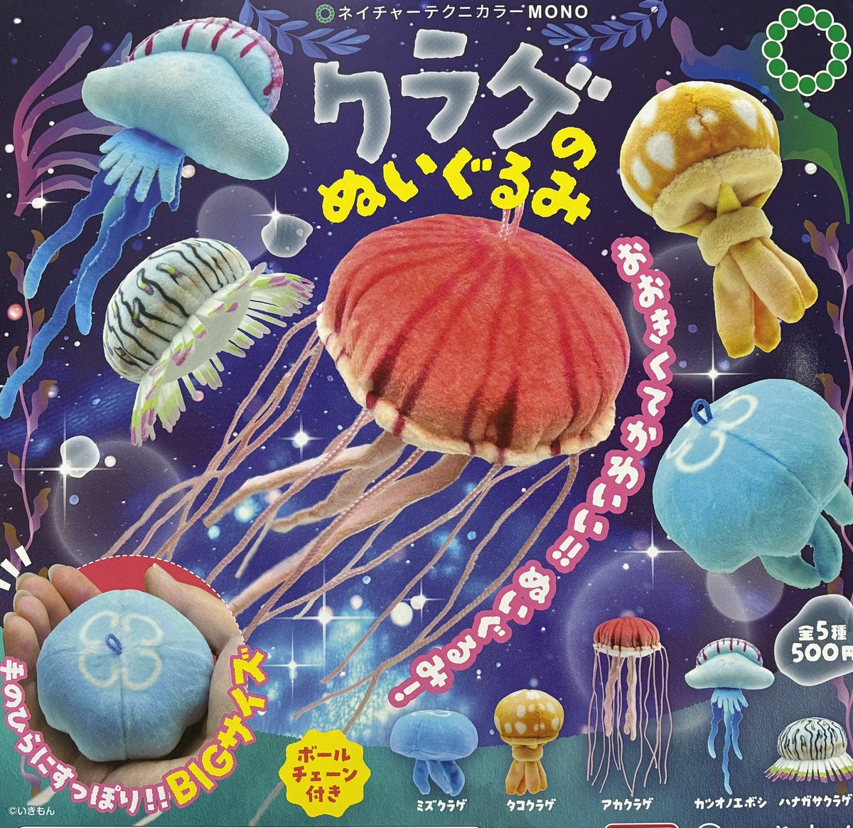 【ホロライブ】くまのぬいぐるみ あん肝【タイトルカップ/敢闘賞】 ホロライブ】くまのぬいぐるみ あん肝【タイトルカップ/敢闘賞