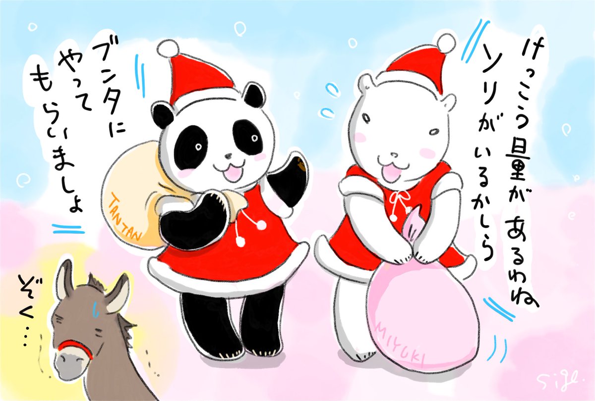 パンダ様 明日はクリスマス🎄 お嬢様方は準備万端🎶 ブンタがんばれ😆 #王子婦人会