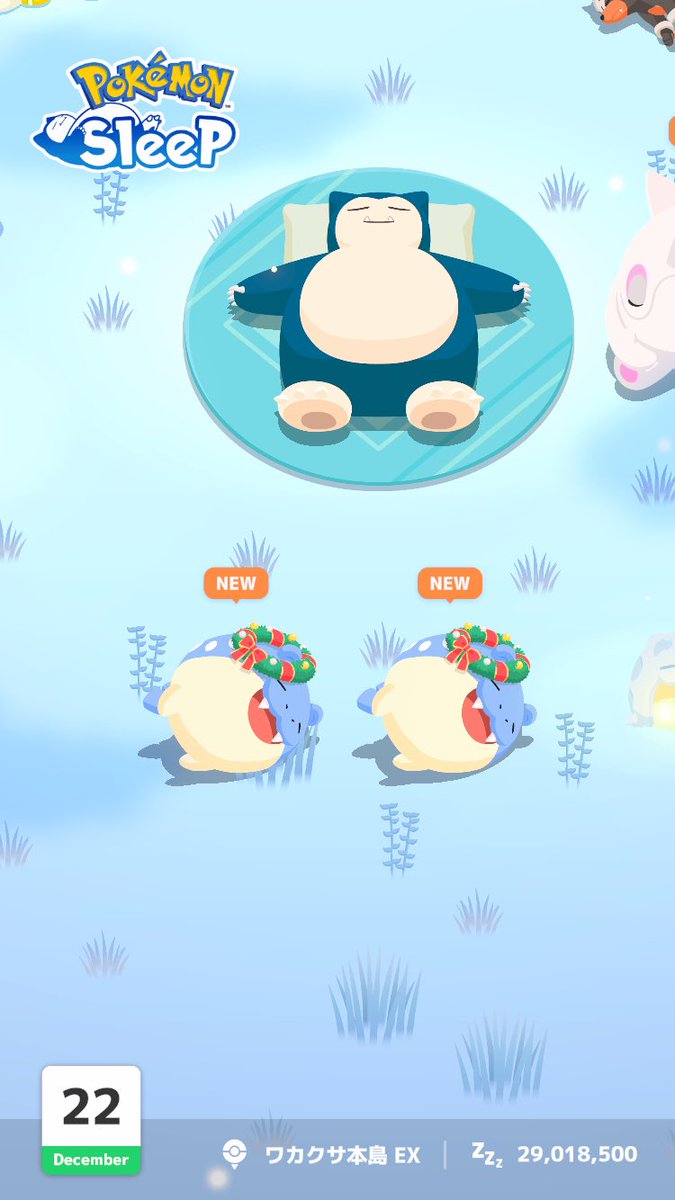 wkyhey's tweet photo. #イブの夜もポケモンと
イブの夜はこのポケモンと眠ります😴✨ 

ホリタマがかわいいんだ

@PokemonSleepApp
#ポケスリ #ポケモンスリープ https://t.co/dVf7pOaNpq