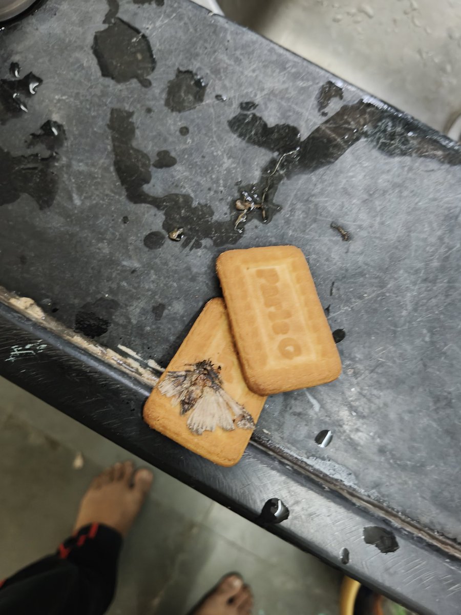 rohitgoyal08may's tweet photo. @parleG  see what is coming inside your biscuit https://t.co/XsDdCSuhj4