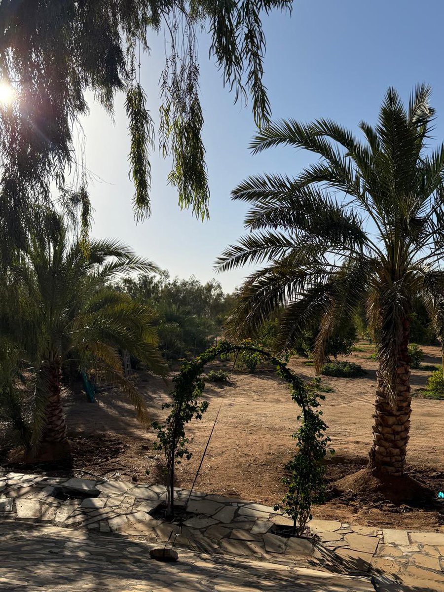 resortalsahra's tweet photo. المؤمن إِذا ذكر الله ارتاح قلبه واطمأنت روحه وهدأت نفسه 
( إِنَّمَا الْمُؤْمِنُونَ الَّذِينَ إِذَا ذُكِرَ اللَّهُ وَجِلَتْ قُلُوبُهُمْ وَإِذَا تُلِيَتْ عَلَيْهِمْ آيَاتُهُ زَادَتْهُمْ إِيمَانًا وَعَلَىٰ رَبِّهِمْ يَتَوَكَّلُونَ ) https://t.co/J4jsCibgPA