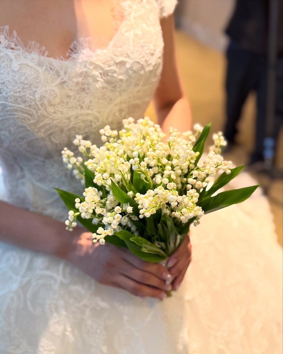 hyunxmugi's tweet image. พอเห็นโพสต์นี้ผมก็คิดว่า 🌿 #xMugi_Garden มีเรื่องที่อยากจะเล่าให้ฟังครับ

เคยเห็นคนเกาหลีตั้งกระทู้ถามว่า 은방울꽃 / Lily of the Valley ที่เป็นพืชในเกาหลีเองไหม? 

สปีชีส์ Lily of the valley ที่พบได้ใน ญี่ปุ่นและเกาหลี รวมถึงจีนและเอเชียตะวันออกเฉียงเหนือ ดังนั้น Lily of the…