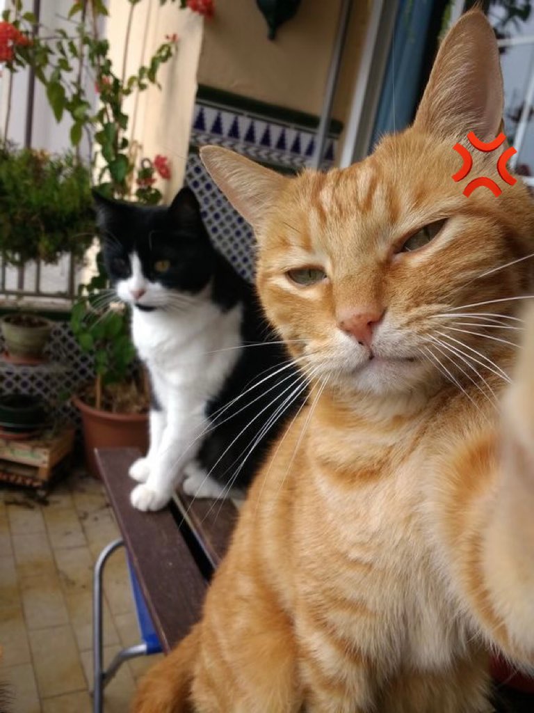 sunscentskies's tweet image. #nodifference