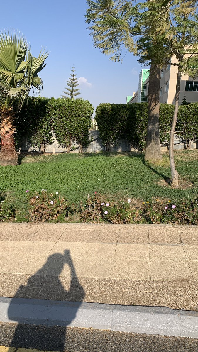 روان الحربي ⚖️ tweet media