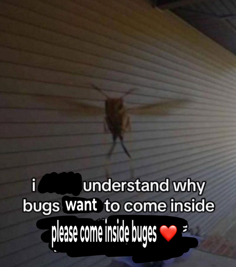 everybuge welcome in my home