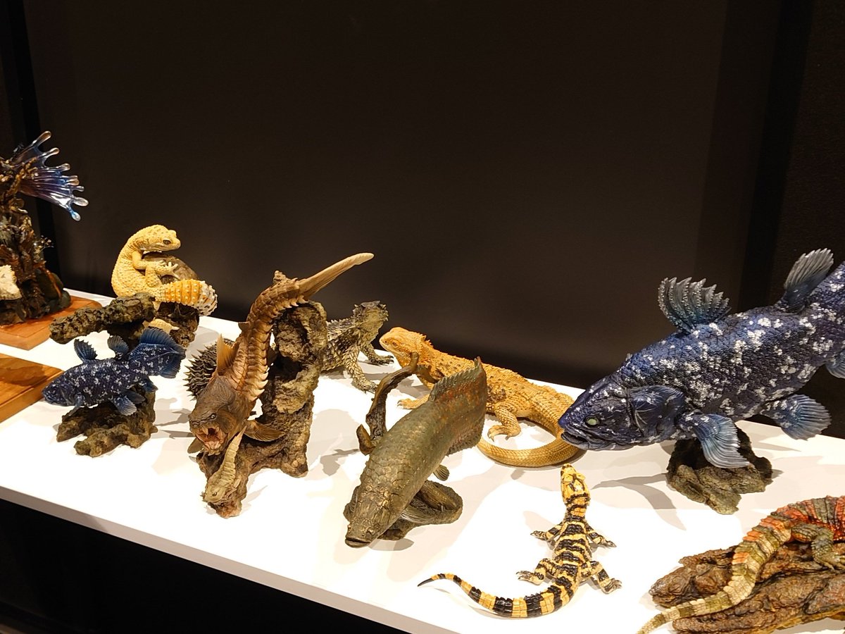 蟹蟲修造　オオヨロイトカゲ　フィギュア 蟹蟲修造 オオヨロイトカゲ フィギュア 蟹蟲修造 on X: 