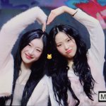Photo by 고양이프사 (@bluekittyryu)