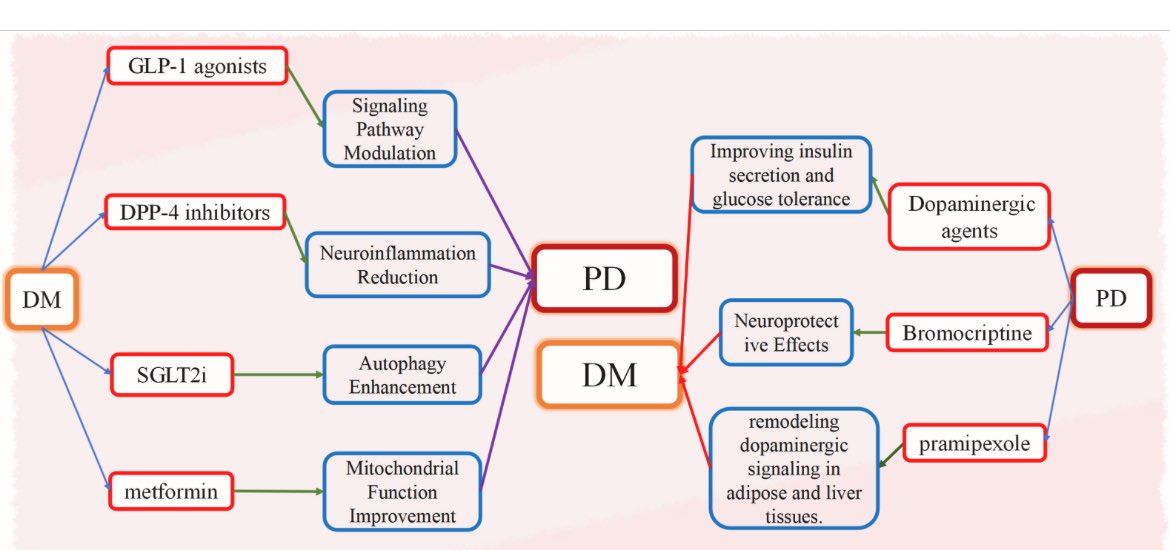 ParkinsonismD's tweet image. Relationship between Parkinson's disease and diabetes mellitus: Evidence from the bench to bedside

#Diabetes #DM #PD #Parkinson #PD 

@PRDAssociation 

Full article 

prd-journal.com/article/S1353-…