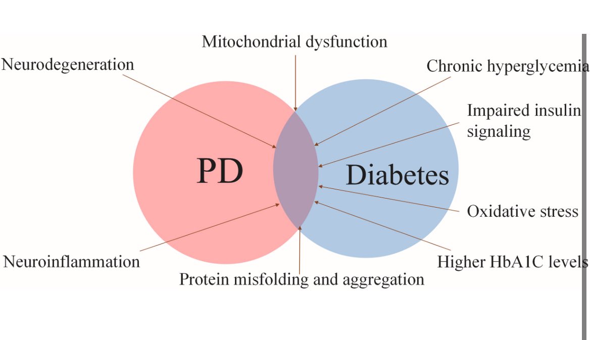 ParkinsonismD's tweet image. Relationship between Parkinson's disease and diabetes mellitus: Evidence from the bench to bedside

#Diabetes #DM #PD #Parkinson #PD 

@PRDAssociation 

Full article 

prd-journal.com/article/S1353-…