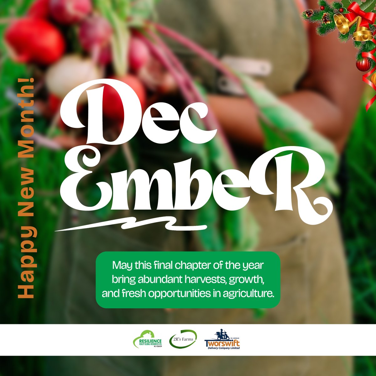 Anibabagrafix tweet media