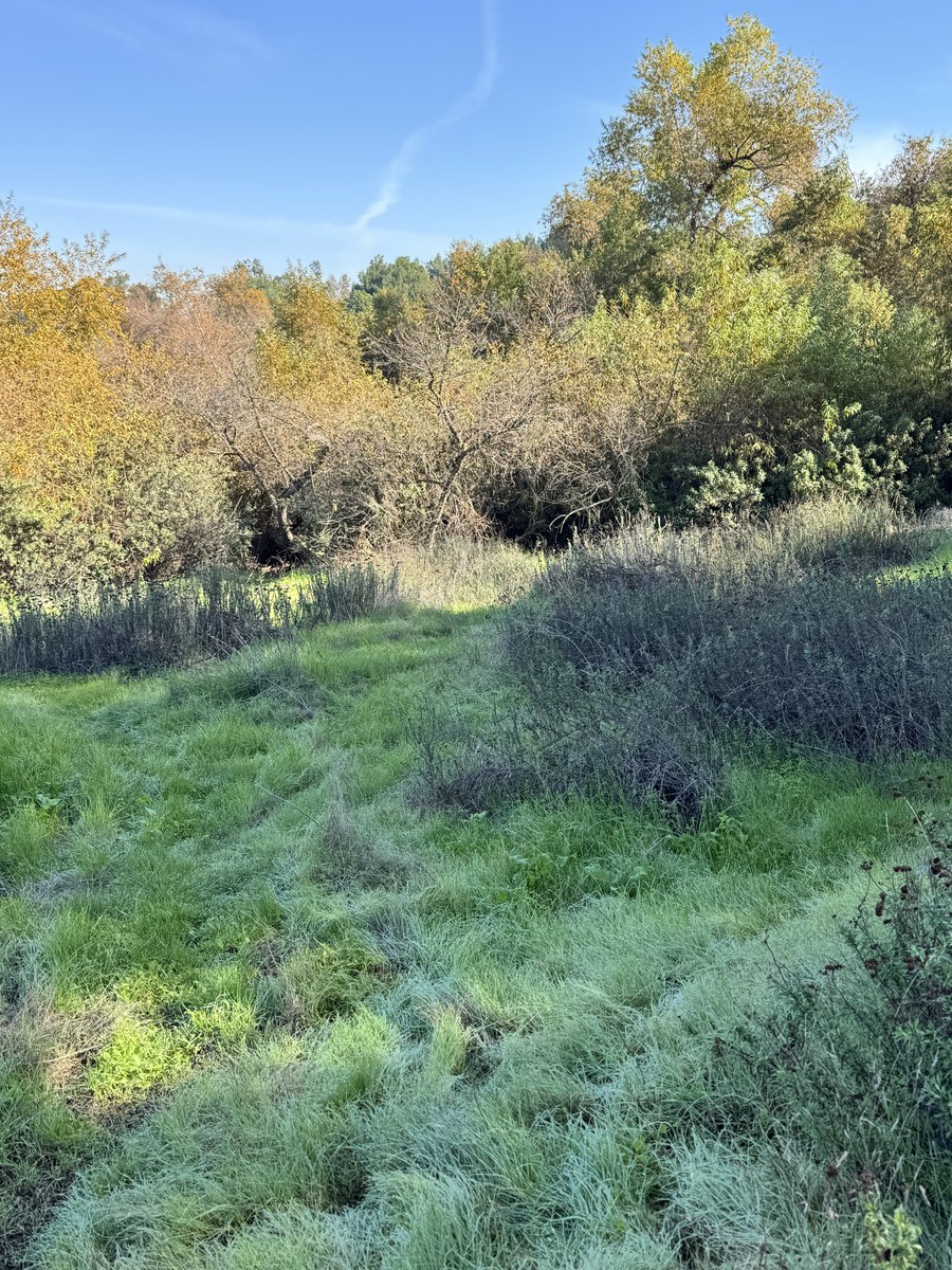 ehnveee's tweet image. Get off the computer and experience life. there is no more joy to be found on the internet, it was all extracted years ago.