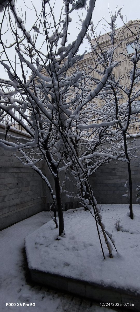 zeinaab banoo(mhjr)❤️☫💚 tweet media