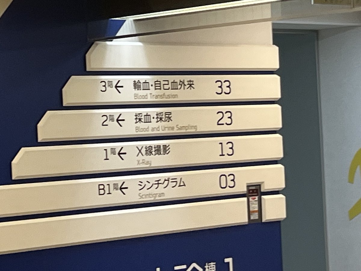 マゴマゴです♫ありがとうございます 🫧 #japan#travel#love#friends#viaggio