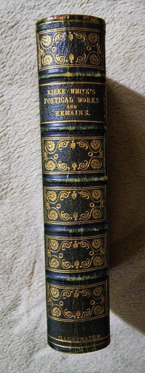 🌳沙羅双樹🌳 (@sarasara_souju3) / Posts / X