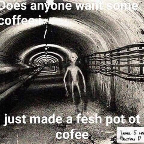 rabbitholebot's tweet image. 