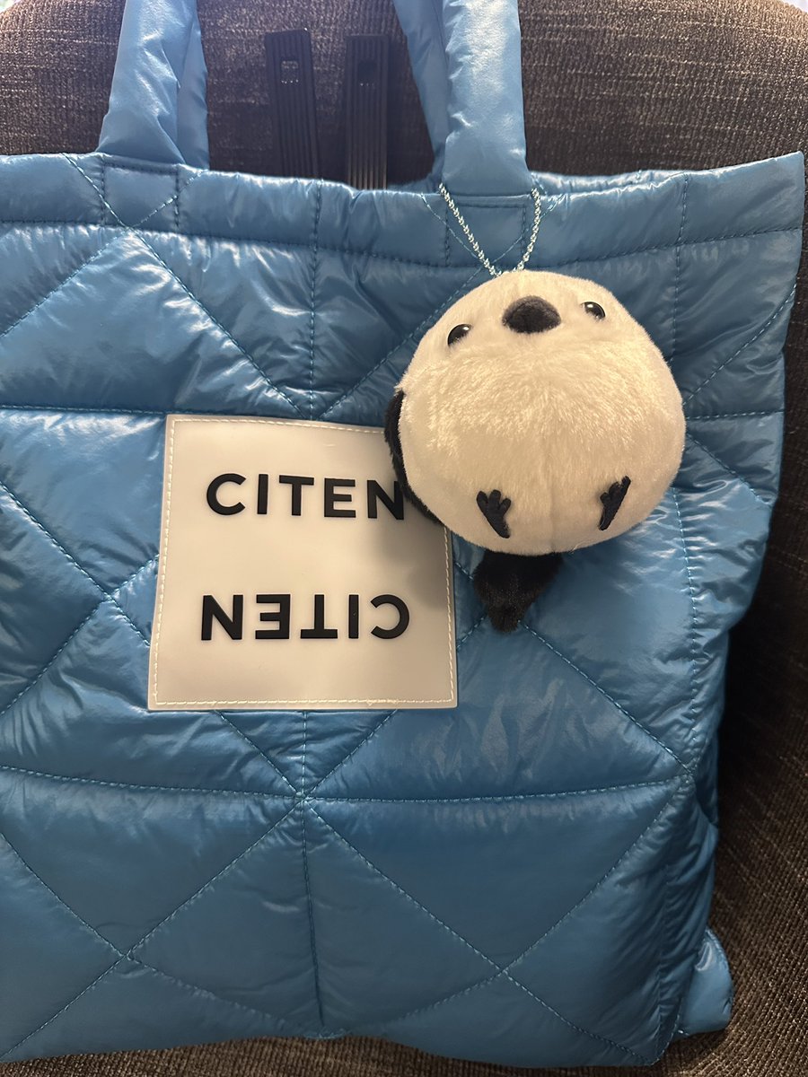 ⭐︎アユミンページ⭐︎ いざ！！！🩵 見かけたら声かけてくださいね😍😍 ジンくん！待っててね