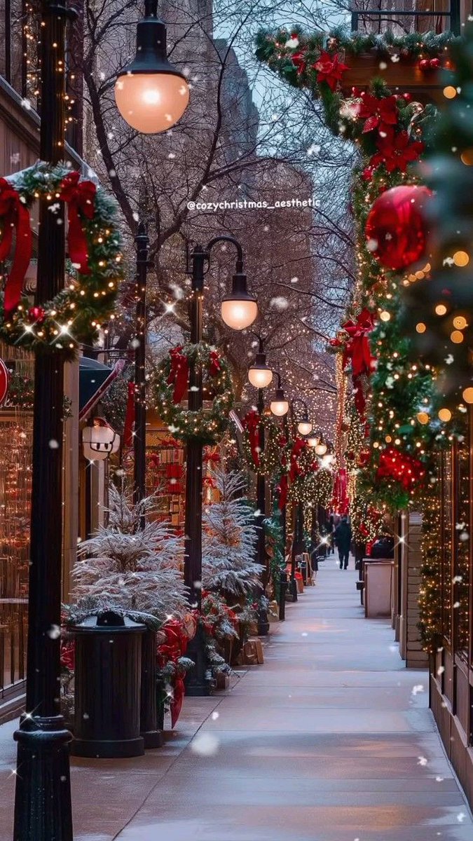 Pantious  Bianca tweet media