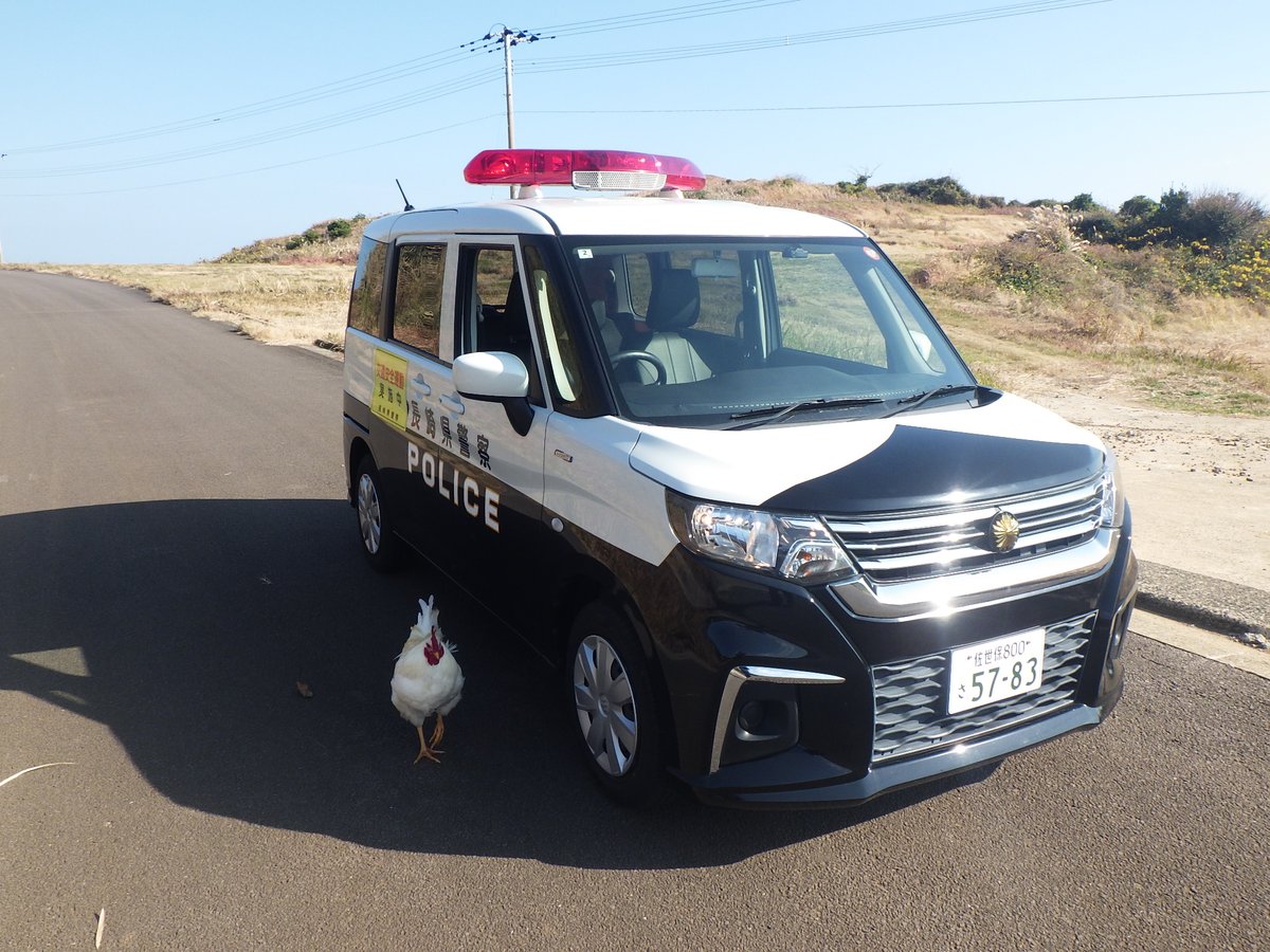 新上五島警察署】 赤・白と色が似ていて仲間と思ったのか、くっついて