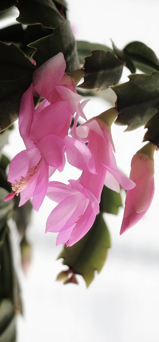 _LandscapeArt's tweet image. Gün aydın olsun