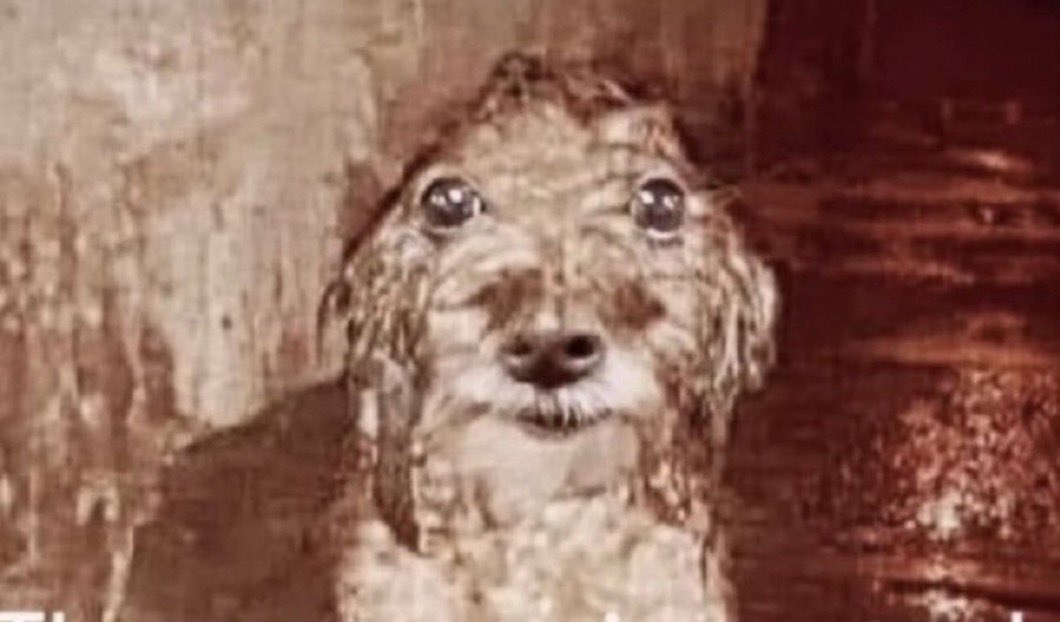 pls christmas hurry up i have suede uggs under the tree as we speak