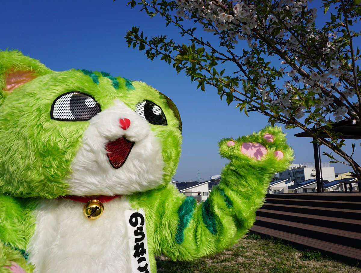 のらねこくん (@noraneko_pj) / Posts / X