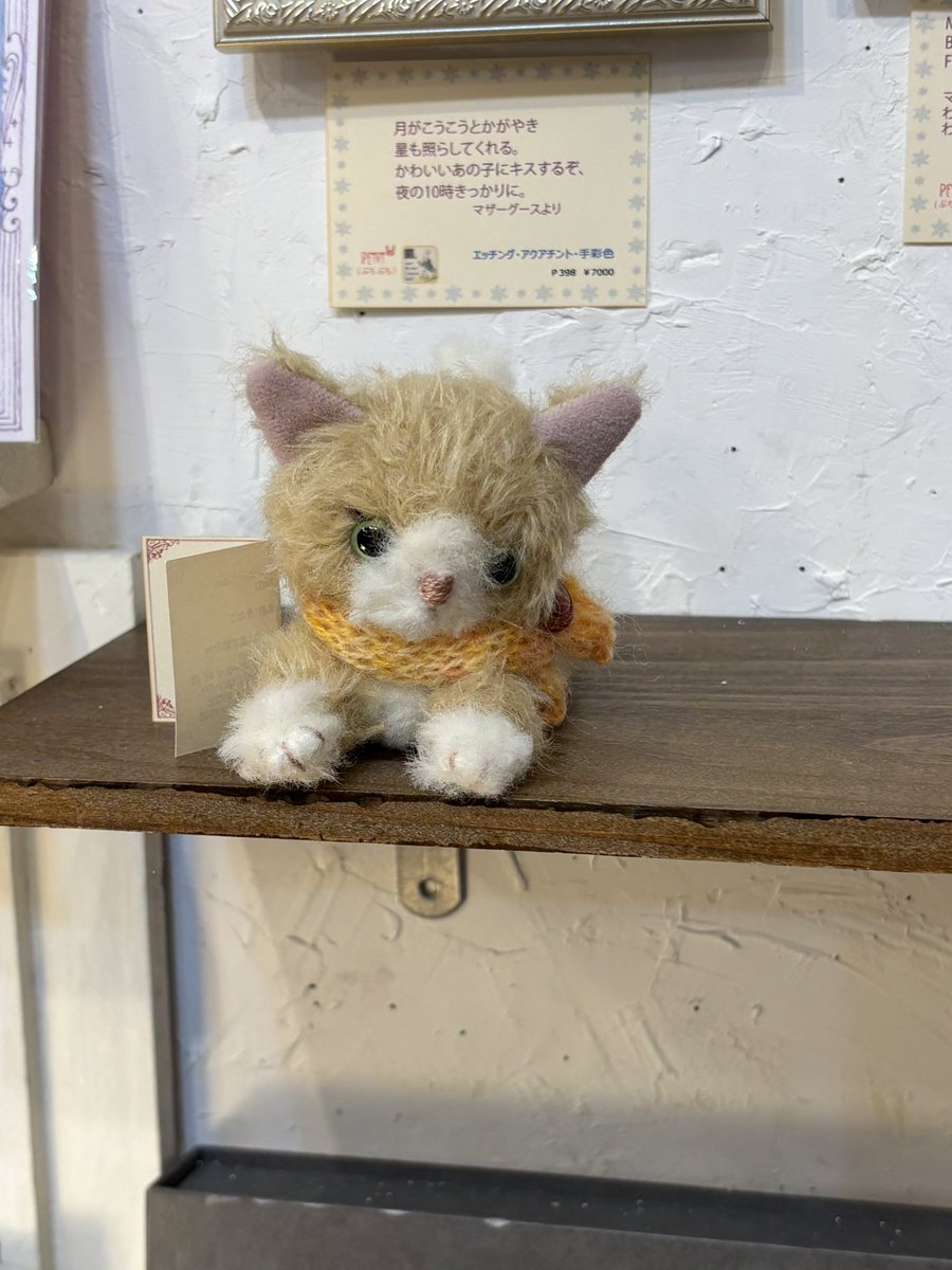 kurage3gou's tweet photo. PETIT2さんのラス1の子が
「皆いっちゃったなぁ…」って
顔でこちらを見てる顔がたまらなくて、連れ帰りそうになる🥹✨
いや絶対君も良きお家に旅立つ❣️
とっても美形さんだし🤩✨
#点滴堂 #PETIT2 https://t.co/TPfkIKscCa