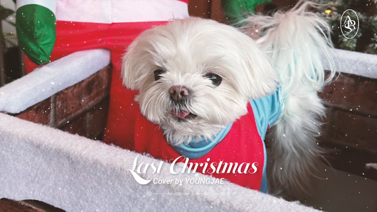 YOUNGJAExArs's tweet image. 영재(YOUNGJAE)- "Last Christmas (2025 Ver.)" 
(Original song: Wham!)

🎁youtu.be/ZwOD5a5FEkk

#영재 #YOUNGJAE
#LastChristmas