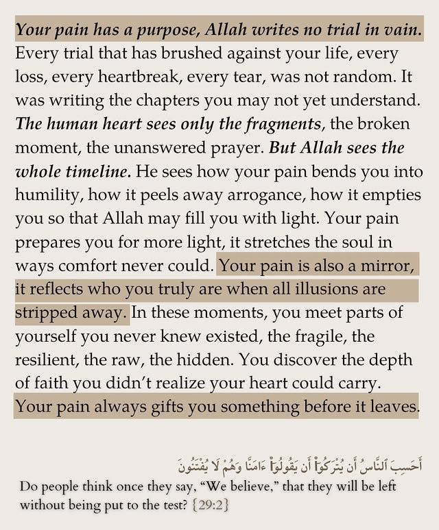 yasir_00x's tweet image. 🤍