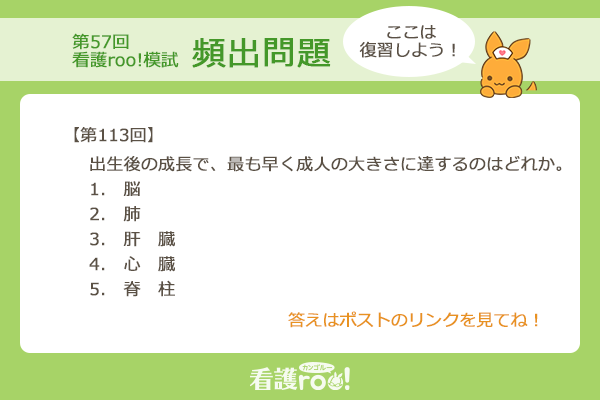 看護roo!国試@必修過去問 (@kangorookokushi) / Posts / X