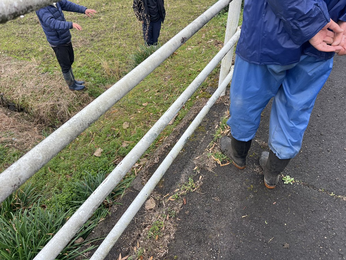 田舎の者mo-chan (@moss0782ga) / Posts / X