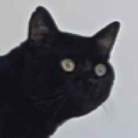 It's Moncatto  tweet media
