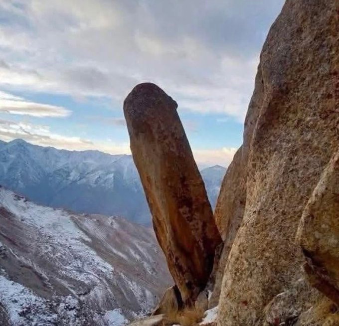 HealthN.ai tweet media