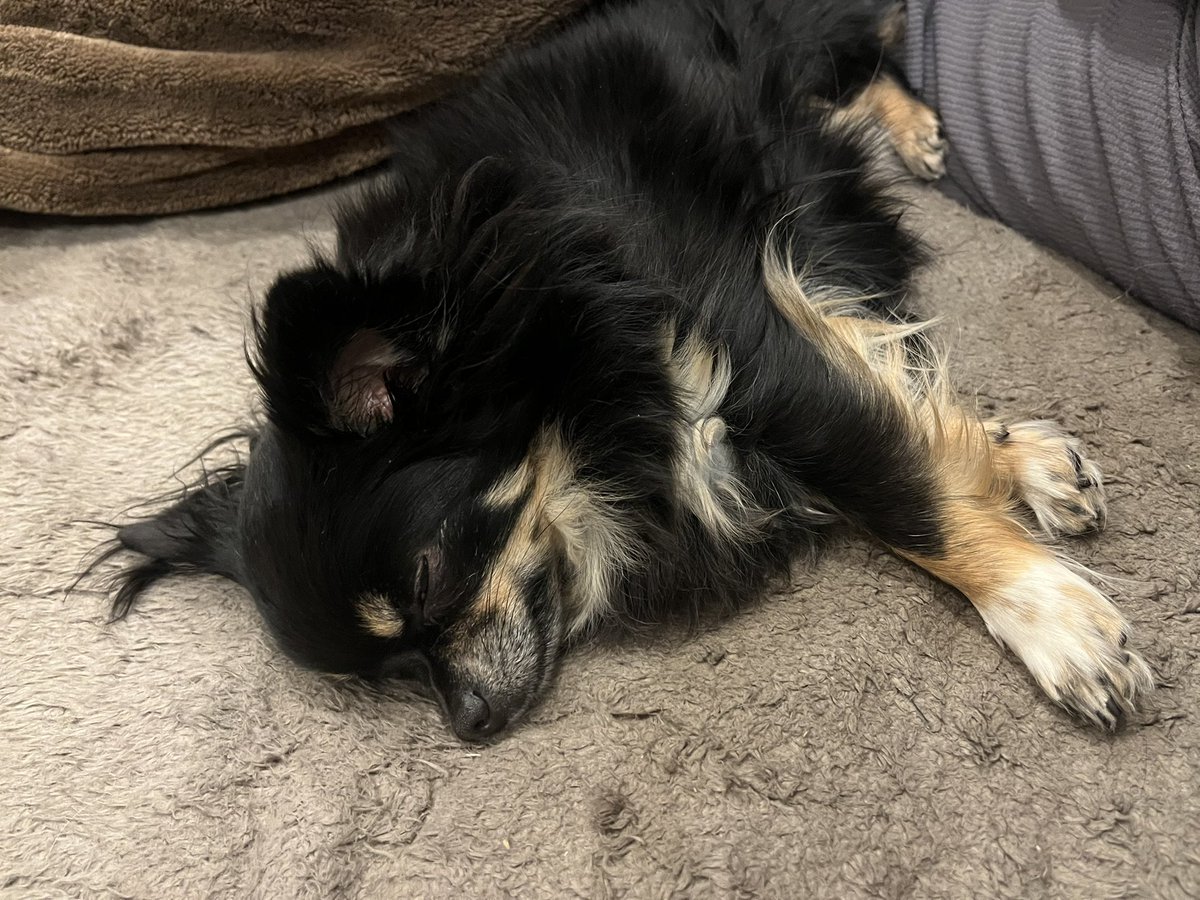 りろーど tweet media