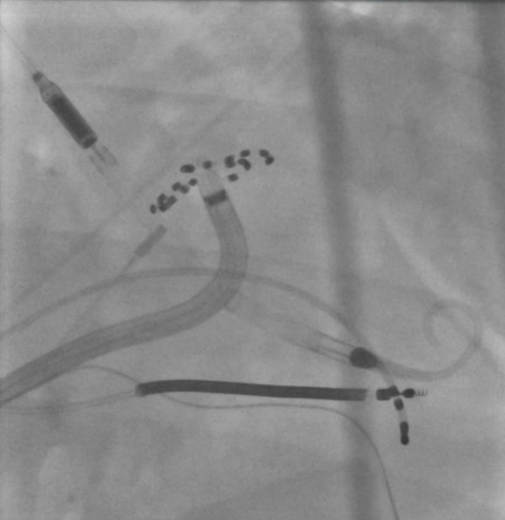 Madhu Reddy tweet media