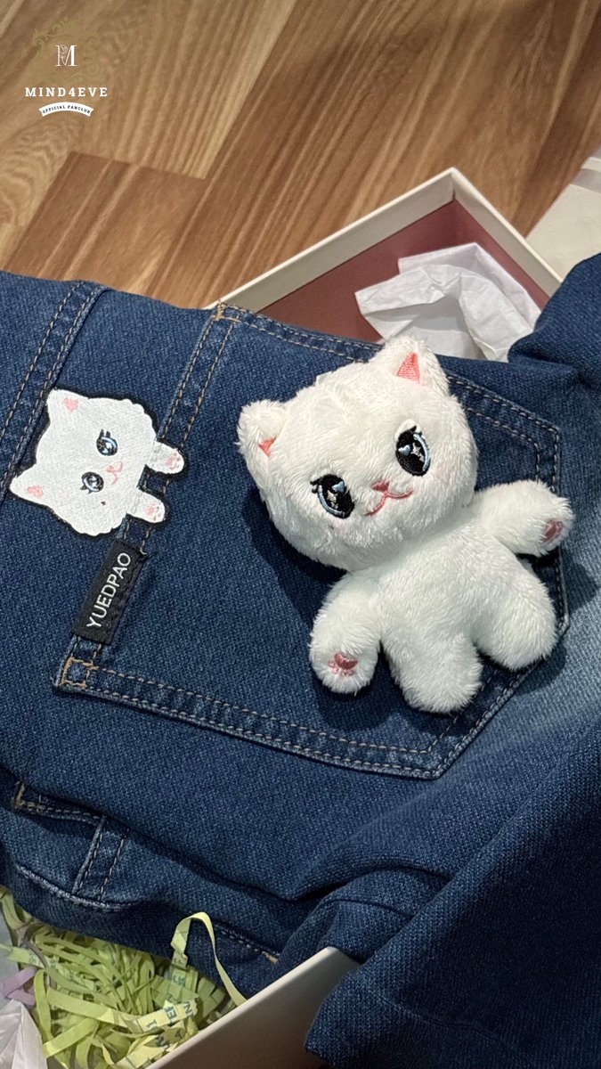 All FOR MIND PROJECT 🌸🍃🕊 tweet media