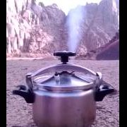 THE WOLF OF TASI ™ tweet media