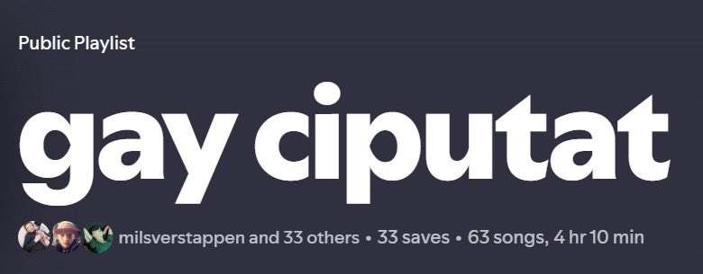 milsverstappen's tweet image. What the hell sure #3363