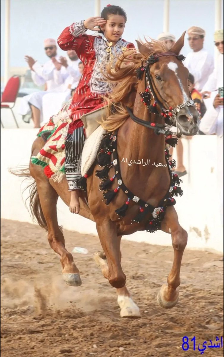 نادي صور للفروسية tweet media