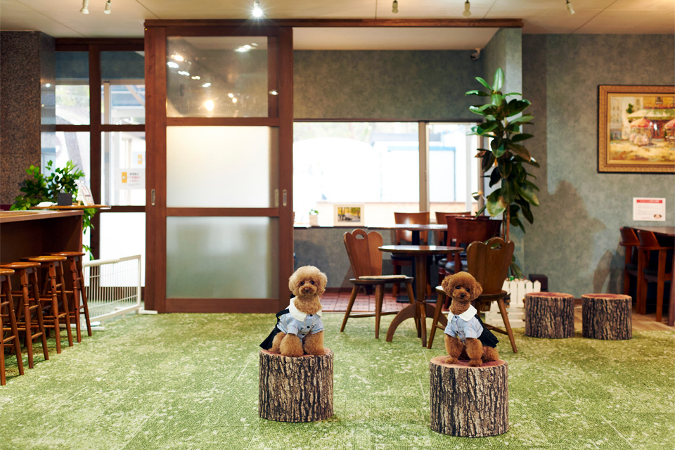 💁‍♀️愛犬と行きたい、“わんラブ”なお店へ。

月刊ウララstyle 1月号 第二特集「犬と、冬のスタンダード。」
urala.jp/sp2/editors/de…

#犬 #ドッグカフェ #福井県 #福井はいいぞ #URALA