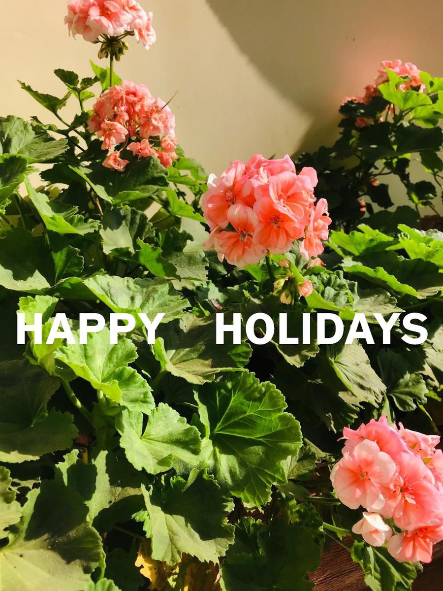 Happy Holidays from Shop Nanjala! 

We are closed for the festive season until 6th January 2026. Deliveries will resume in the new year. 

#shopnanjala #happyholidays #wecravegreatdesign