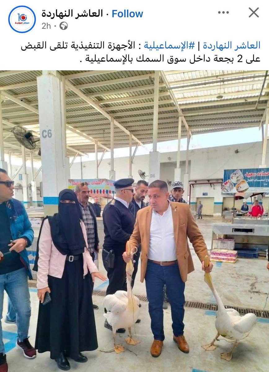 BobFairhair's tweet image. مديرية أمن الفيوم تتراجع للمركز الثاني