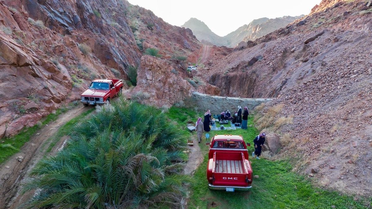 🍃 | ربيع حائل

القيلة عقب جيت السيل ⛰️
البساط أخضر والصدر وسيع💚

📸 | #حائل_الأجمل
#أمانة_منطقة_حائل