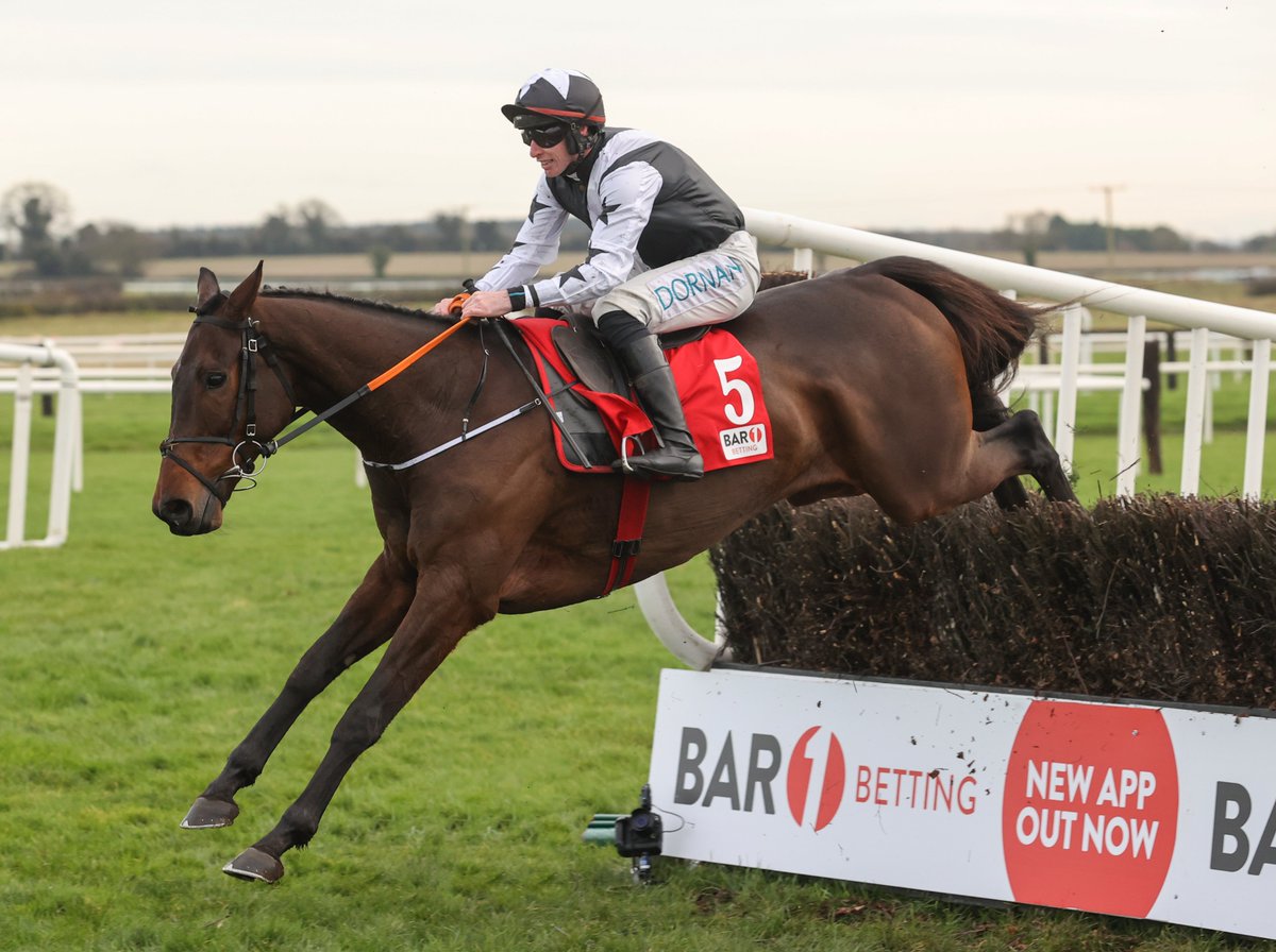 My Racing Tips tweet media